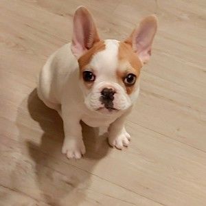 Meet your Posher, Cathryne